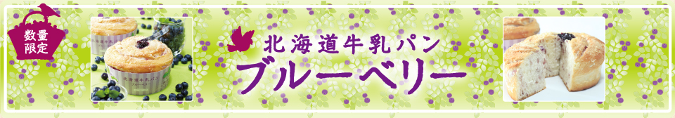 4月発売 モンタボーの新商品「北海道牛乳パン ブルーベリー」