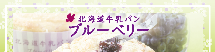 モンタボー特製 SWEETS!! 北海道牛乳パン ブルーベリー